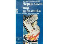 Un cearșaf negru peste scrumieră - Atanas Mandajiev