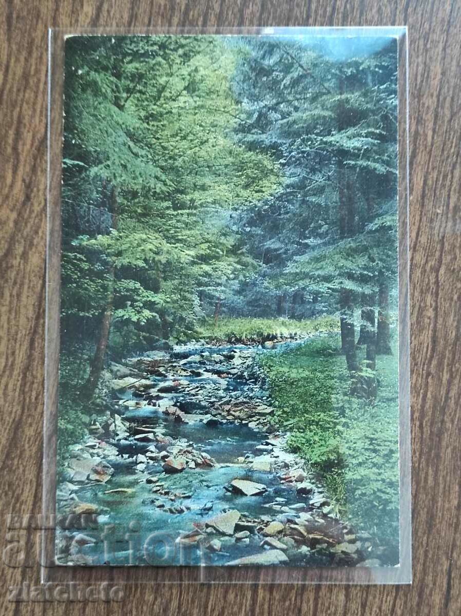 Auction Postcard - Rare Stamp Auction Postcard - Rare Stamp