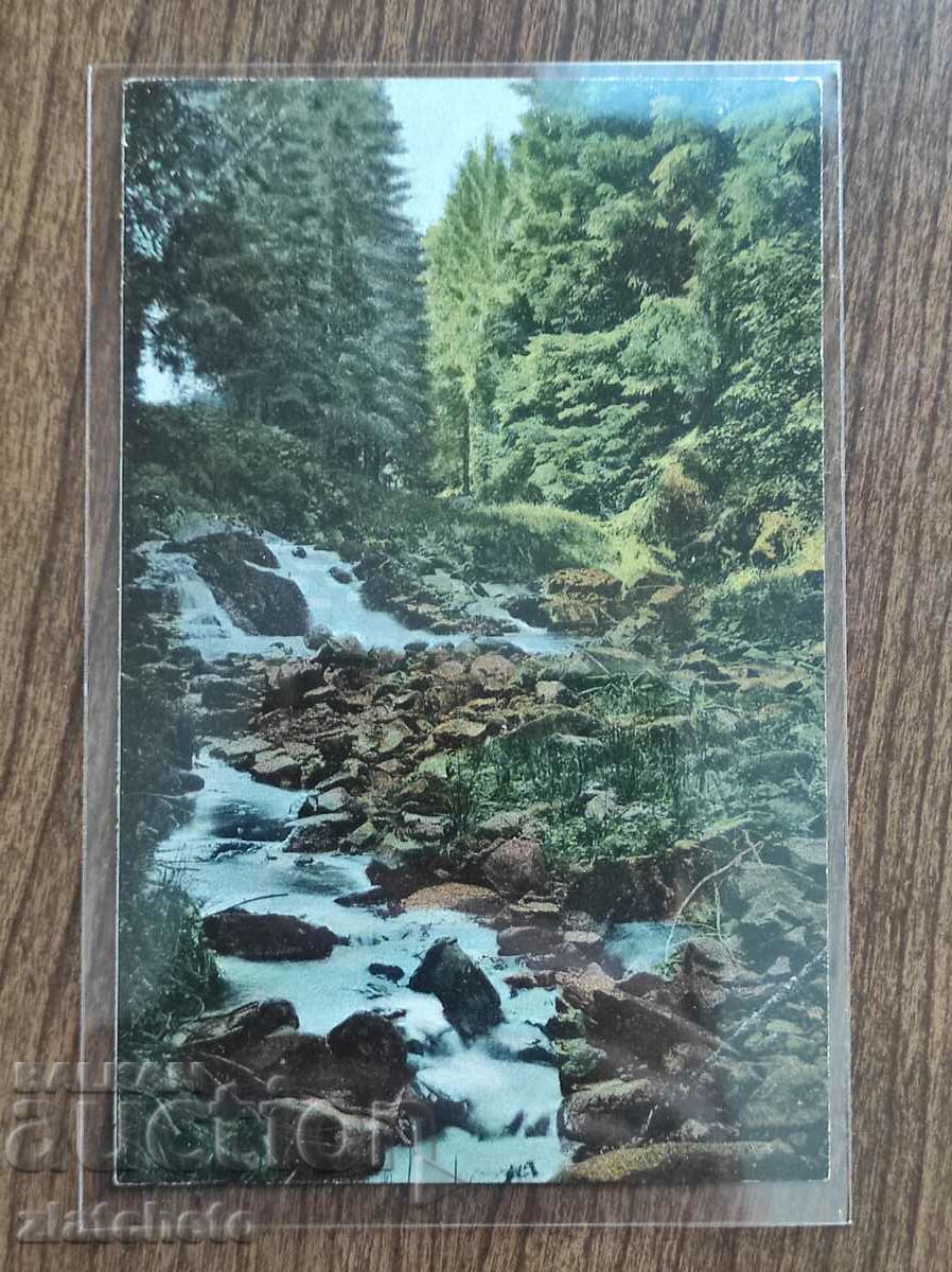 Auction Postcard - Rare Stamp Auction Postcard - Rare Stamp