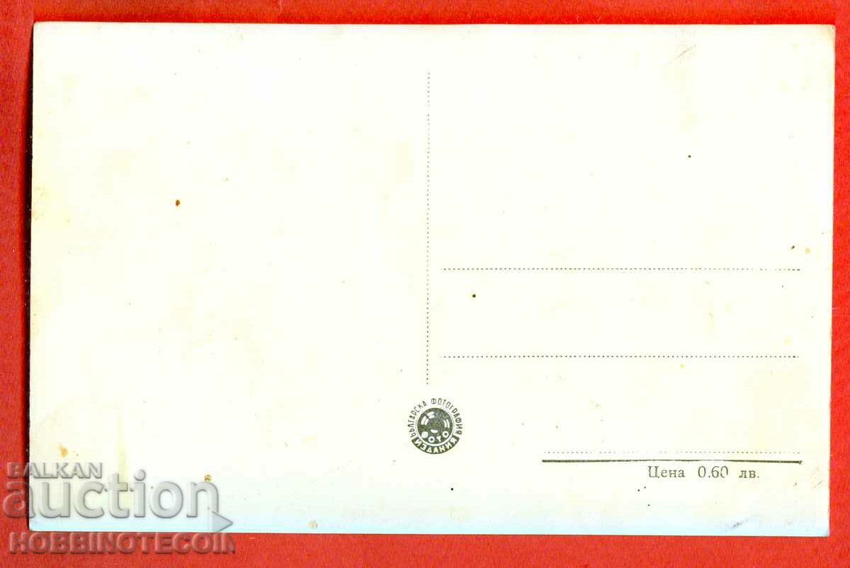 UNUSED CARD HEDGEHOG PINE FOREST BRIDGE with price 6.99 BGN | € 3.57 UNUSED CARD HEDGEHOG PINE FOREST BRIDGE with price 6.99 BGN | € 3.57