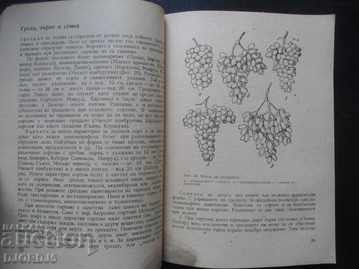 Δημοπρασία Πρακτική αμπελουργία και οινοποίηση Δημοπρασία Πρακτική αμπελουργία και οινοποίηση