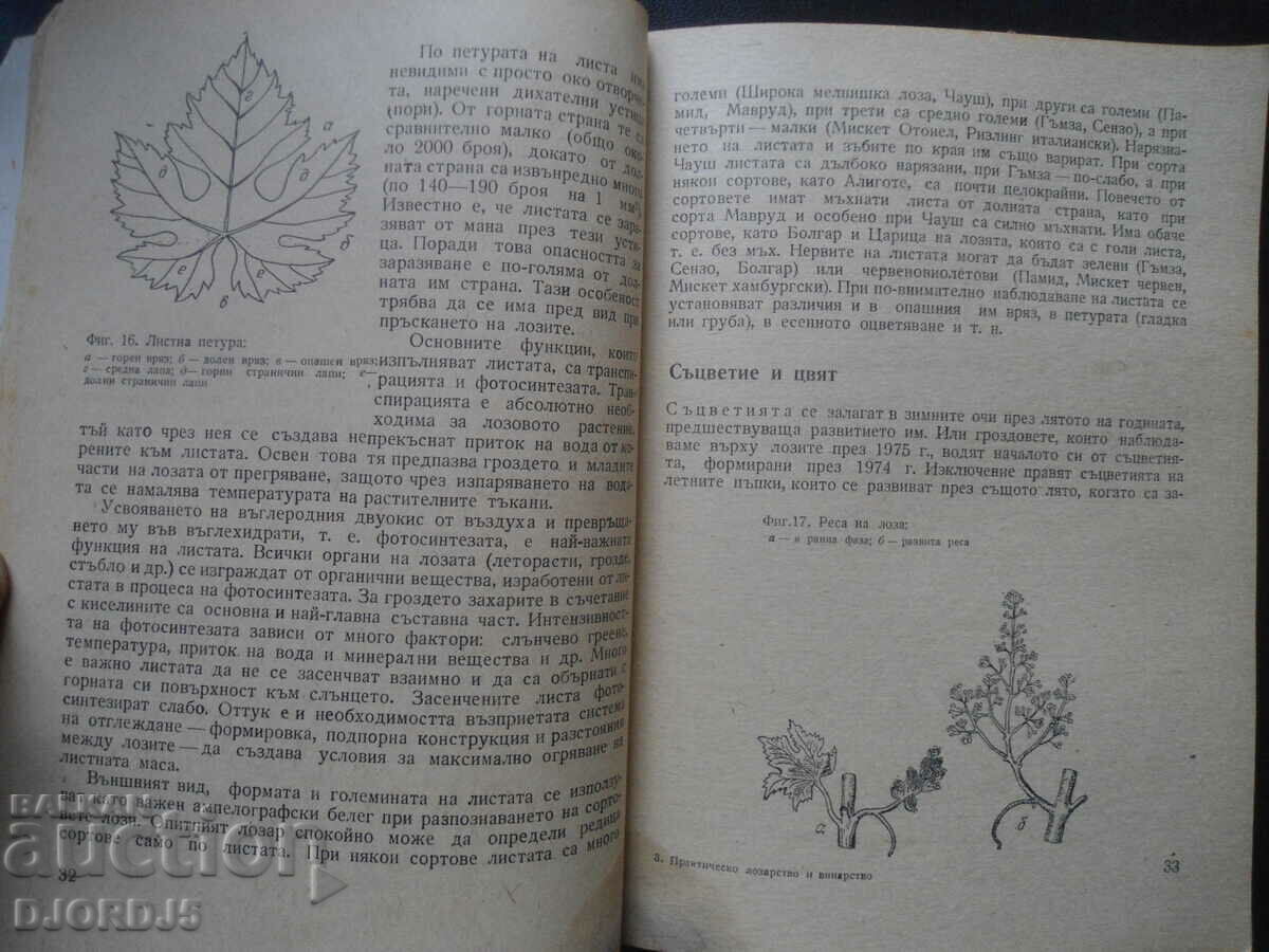 Παράδοση Πρακτική αμπελουργία και οινοποίηση Παράδοση Πρακτική αμπελουργία και οινοποίηση