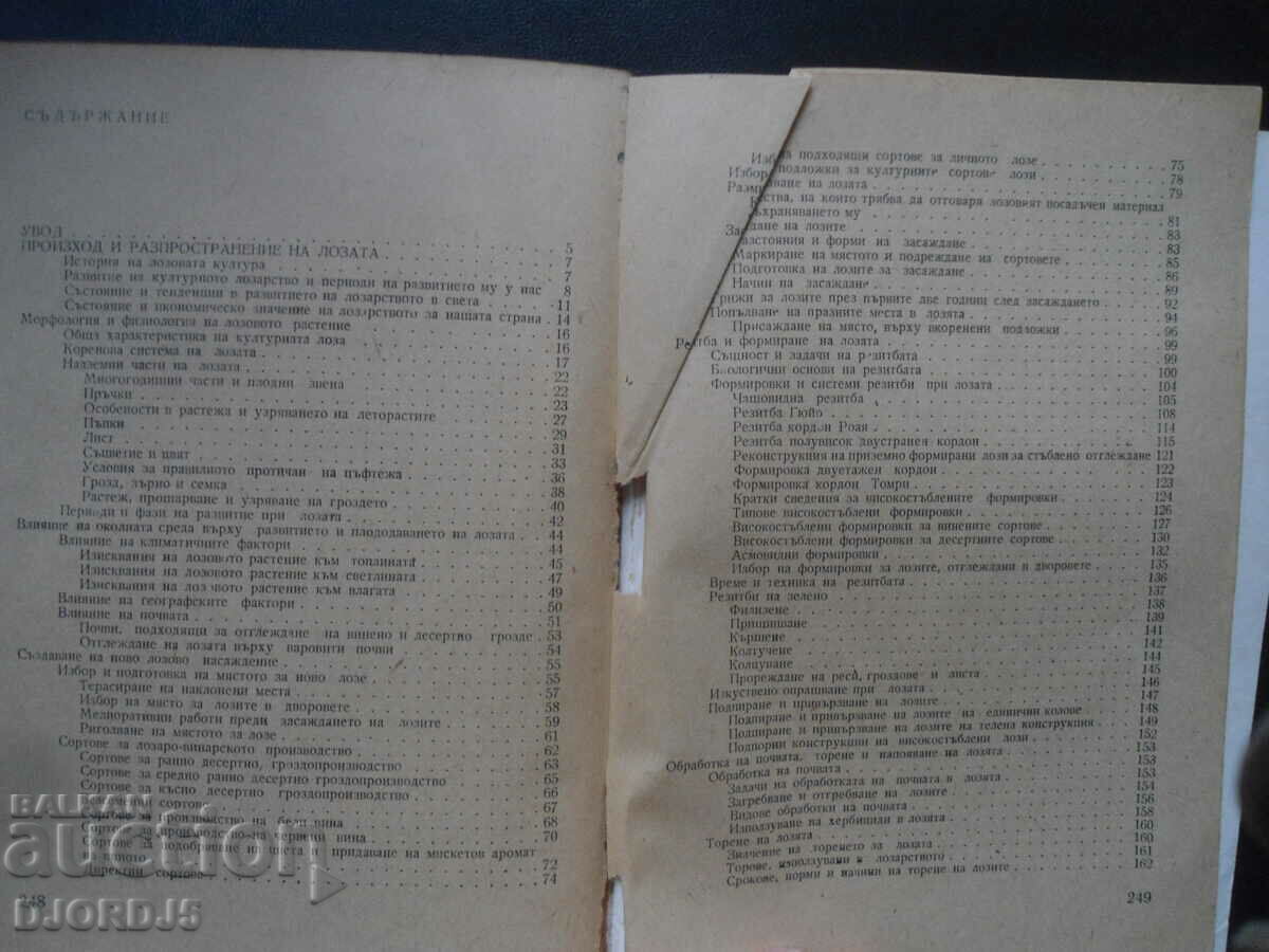 Πρακτική αμπελουργία και οινοποίηση - 5 Πρακτική αμπελουργία και οινοποίηση - 5