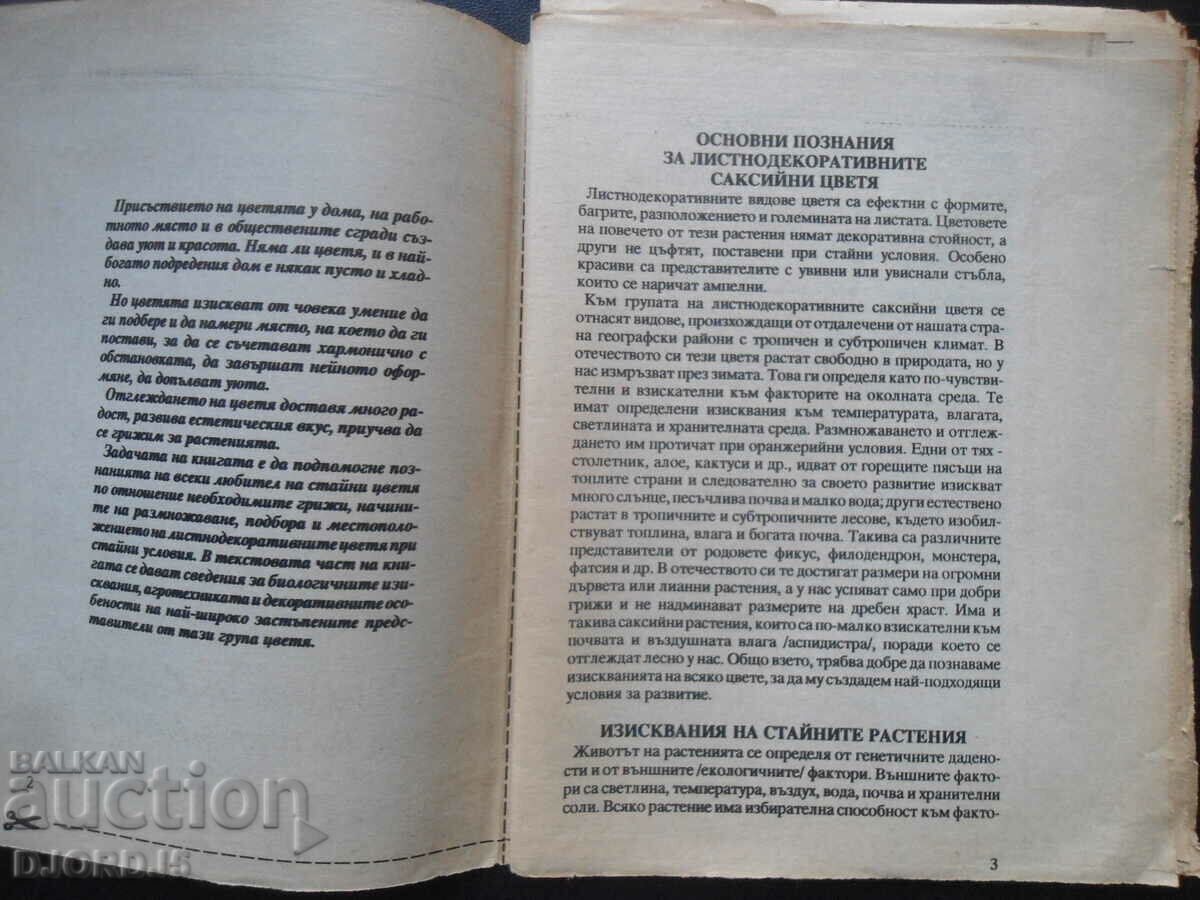 Indoor leaf-decorative plants with price 2.00 BGN | € 1.02 Indoor leaf-decorative plants with price 2.00 BGN | € 1.02