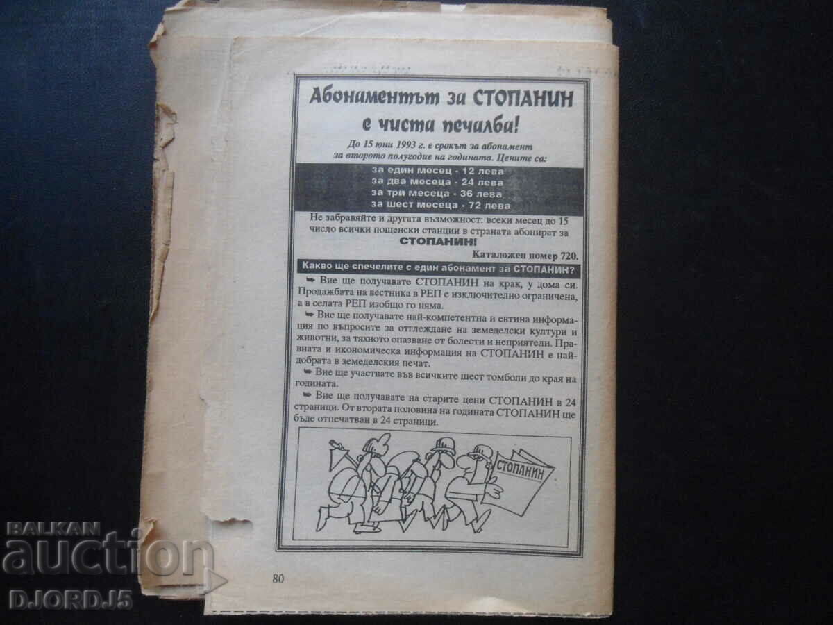 Indoor leaf-decorative plants - 6 Indoor leaf-decorative plants - 6