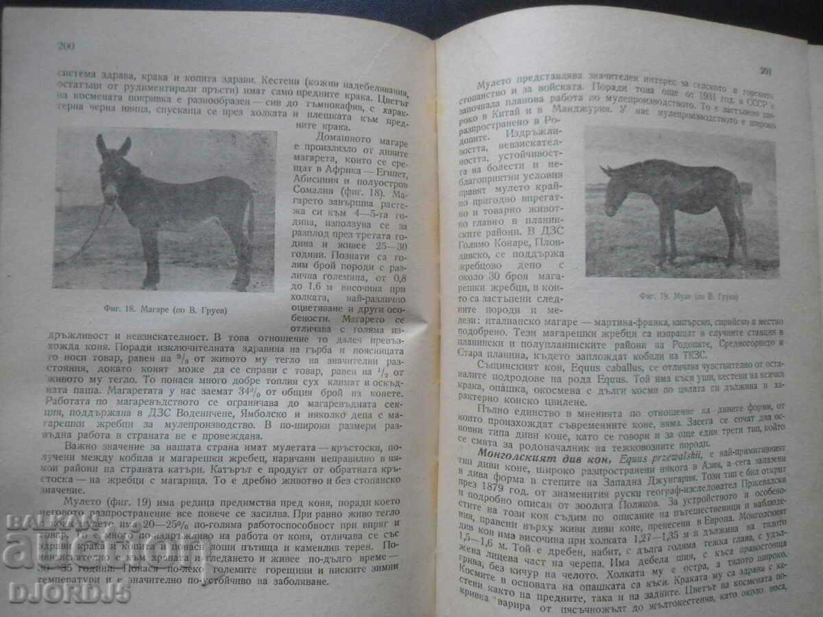 Animal husbandry with price 10.00 BGN | € 5.11