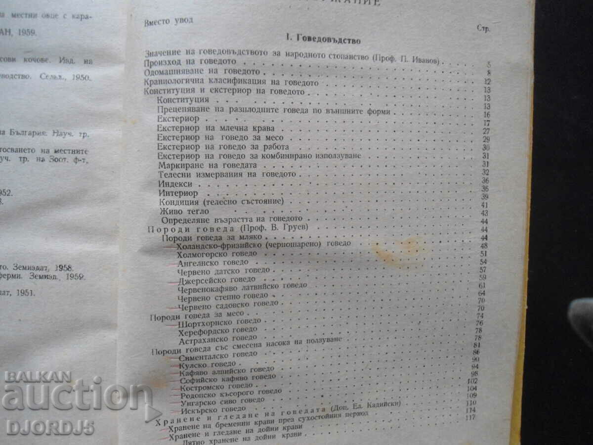 Auction  Animal husbandry