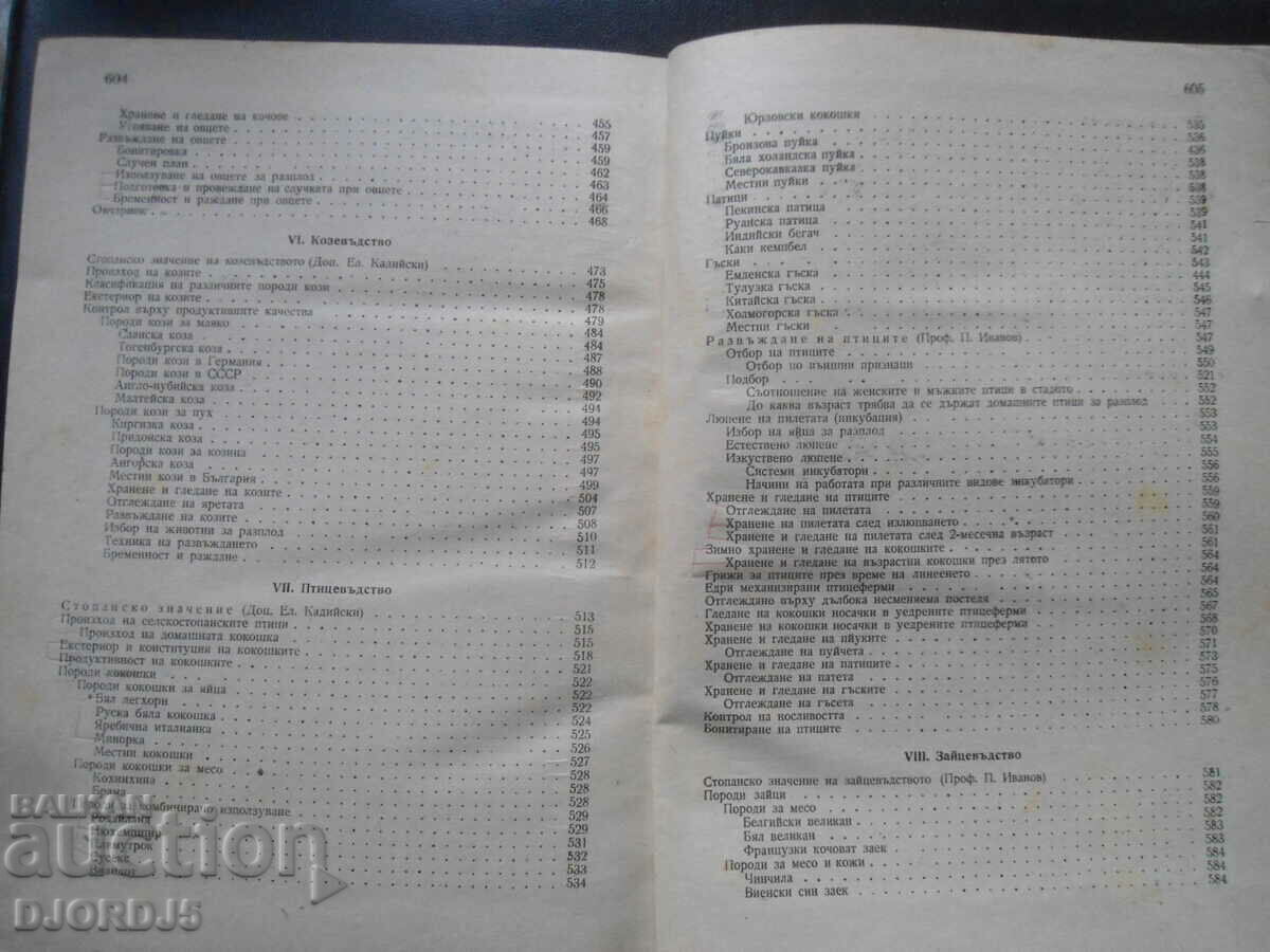 Animal husbandry - 6