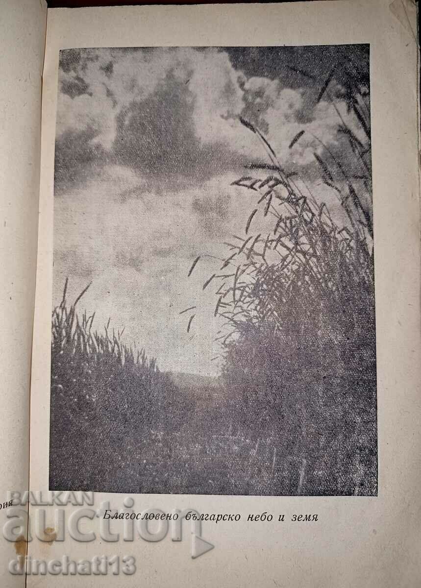 Licitație Ghid de contabilitate fizică a alimentelor: H. Gylemetov