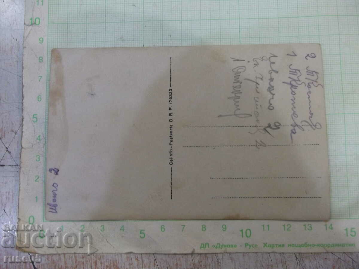 Old photo of young people in the garden with price 5.00 BGN | € 2.56 Old photo of young people in the garden with price 5.00 BGN | € 2.56