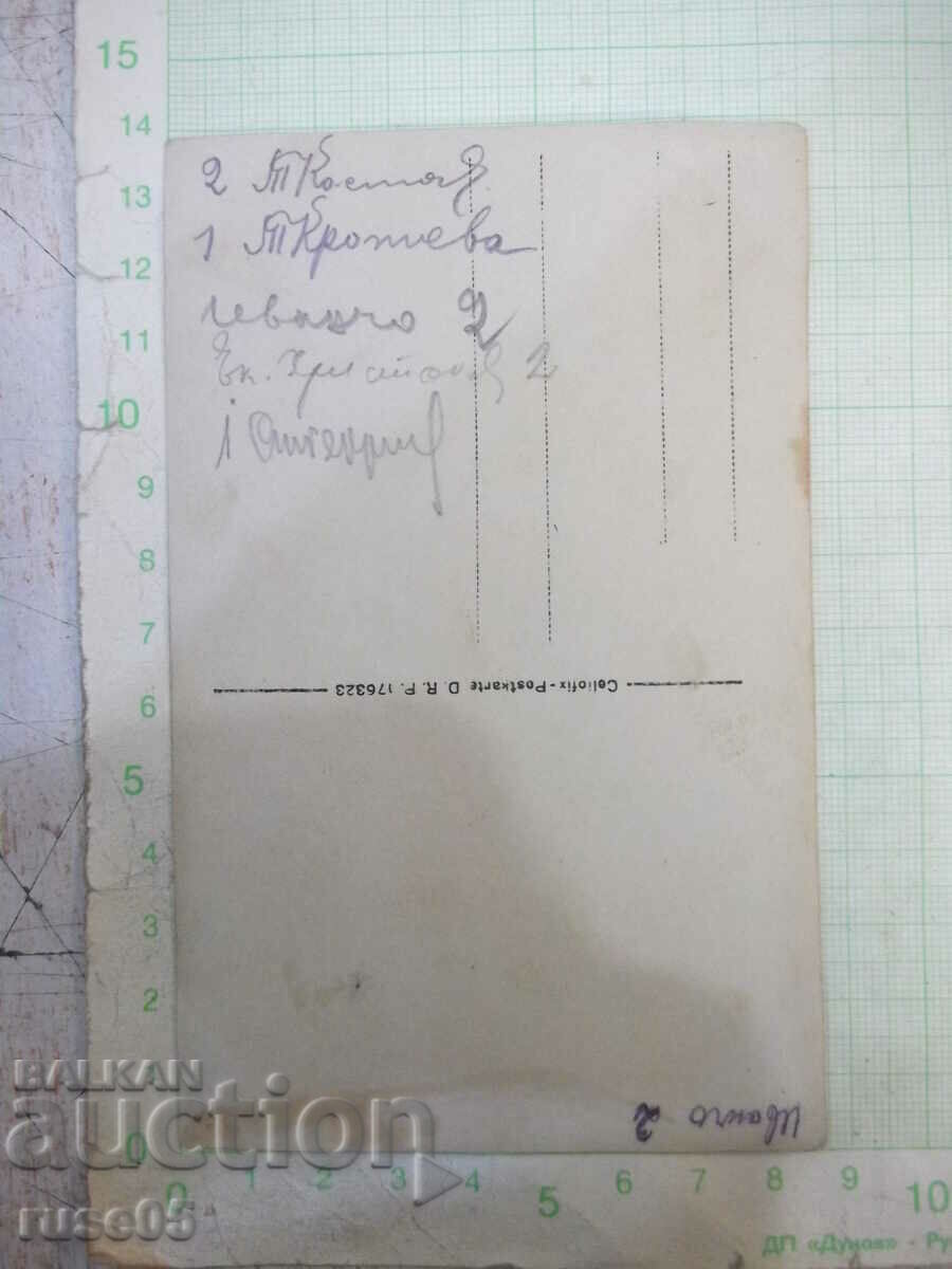 Auction Old photo of young people in the garden Auction Old photo of young people in the garden