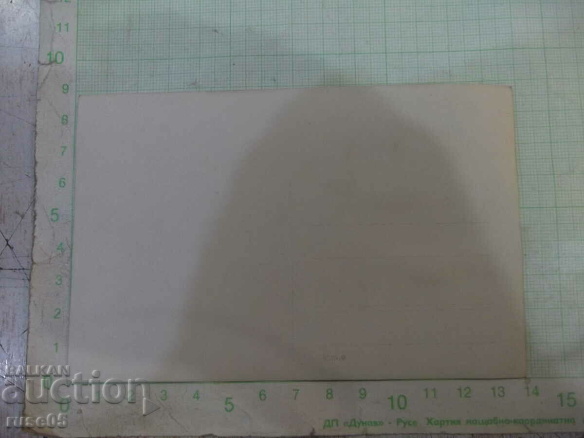 Old photo of young people on the bridge over the river with price 5.00 BGN | € 2.56 Old photo of young people on the bridge over the river with price 5.00 BGN | € 2.56