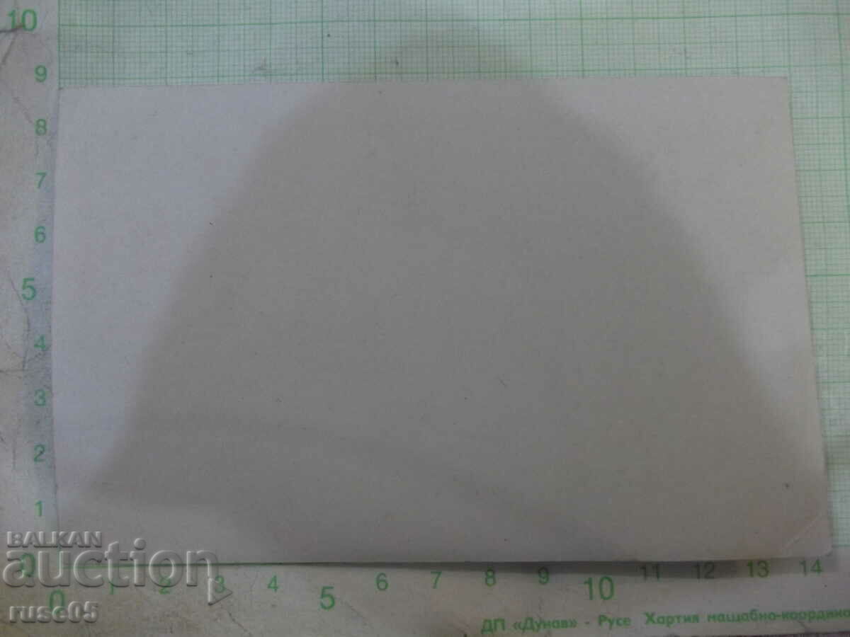 Old photo of young people in the garden - 1 with price 5.00 BGN | € 2.56 Old photo of young people in the garden - 1 with price 5.00 BGN | € 2.56