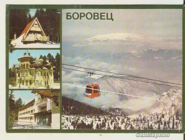 Κάρτα Bulgaria Borovets 5**