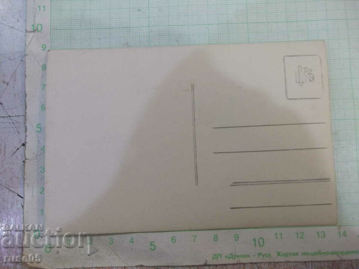 Old photo of a lady with price 3.00 BGN | € 1.53 Old photo of a lady with price 3.00 BGN | € 1.53