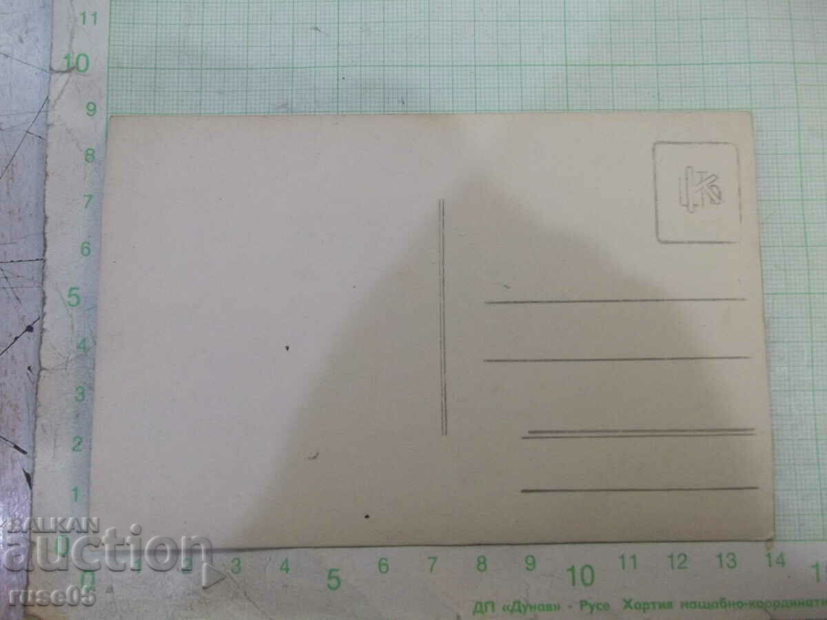 Παλιά φωτογραφία μιας κυρίας μπροστά από ένα λουλούδι με τιμή 5.00 BGN | € 2.56