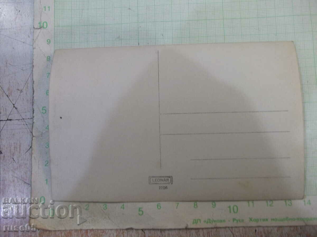 Old photo in nature with a dog with price 5.00 BGN | € 2.56 Old photo in nature with a dog with price 5.00 BGN | € 2.56