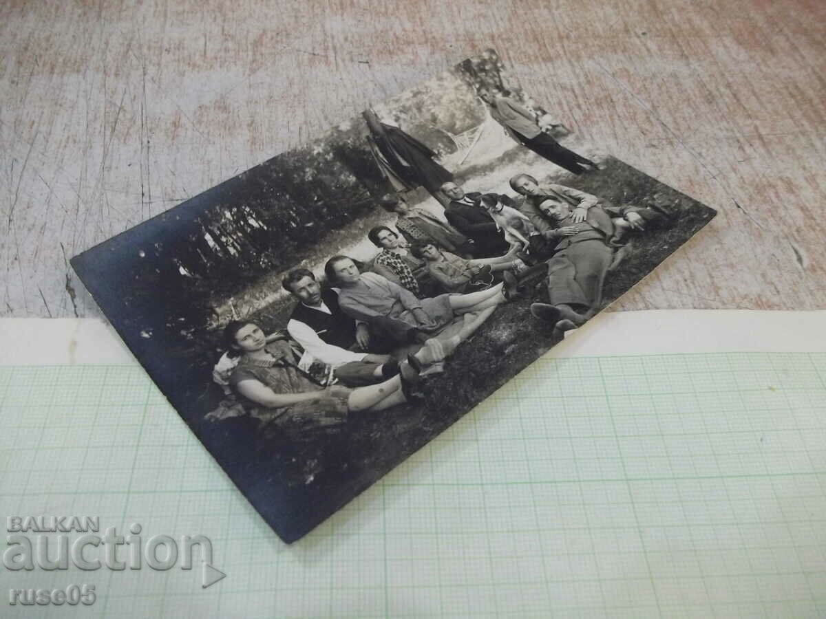 Auction Old photo in nature with a dog Auction Old photo in nature with a dog