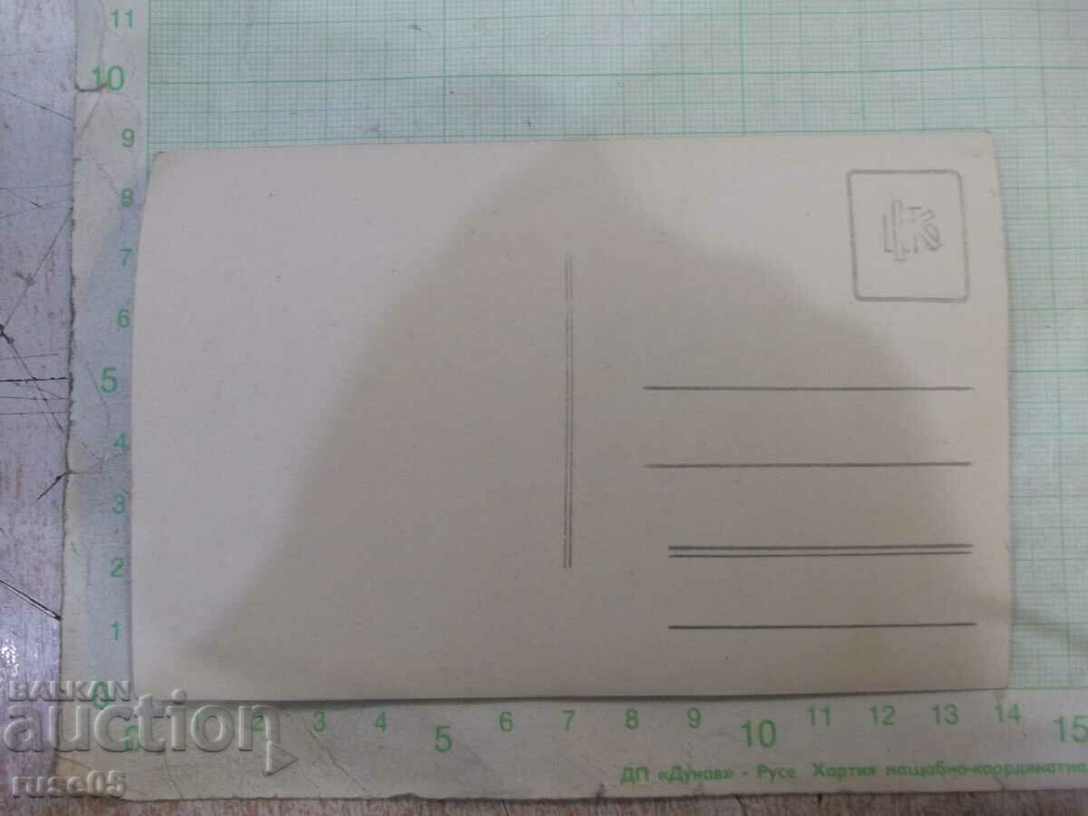 Old photo of a lady in front of a flower - 1 with price 5.00 BGN | € 2.56 Old photo of a lady in front of a flower - 1 with price 5.00 BGN | € 2.56