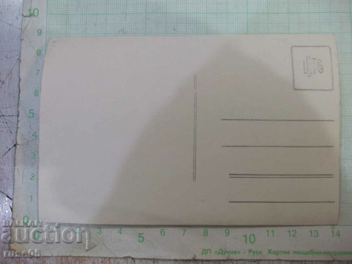 Old photo of a lady - 1 with price 3.00 BGN | € 1.53 Old photo of a lady - 1 with price 3.00 BGN | € 1.53