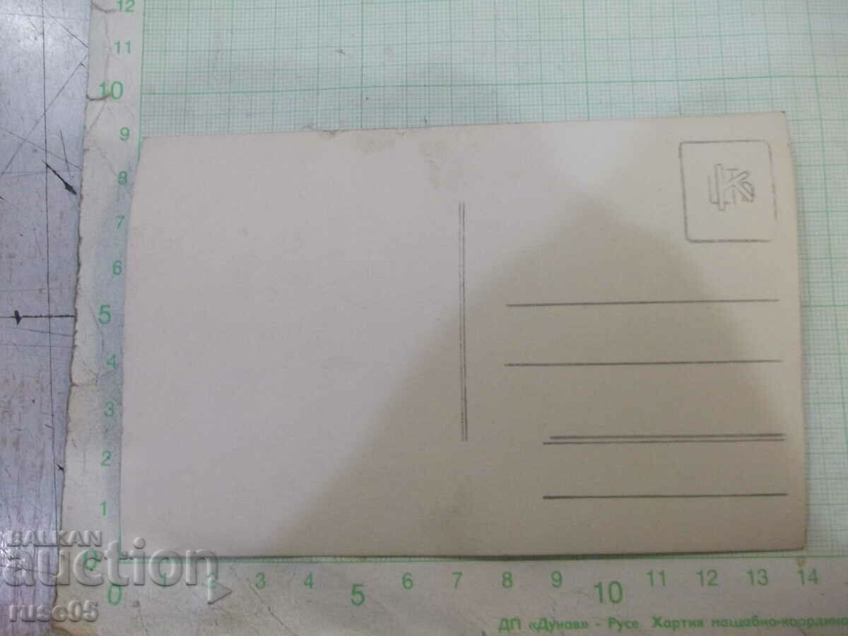 Παλιά φωτογραφία μιας κυρίας μπροστά από ένα λουλούδι - 2 με τιμή 5.00 BGN | € 2.56 Παλιά φωτογραφία μιας κυρίας μπροστά από ένα λουλούδι - 2 με τιμή 5.00 BGN | € 2.56