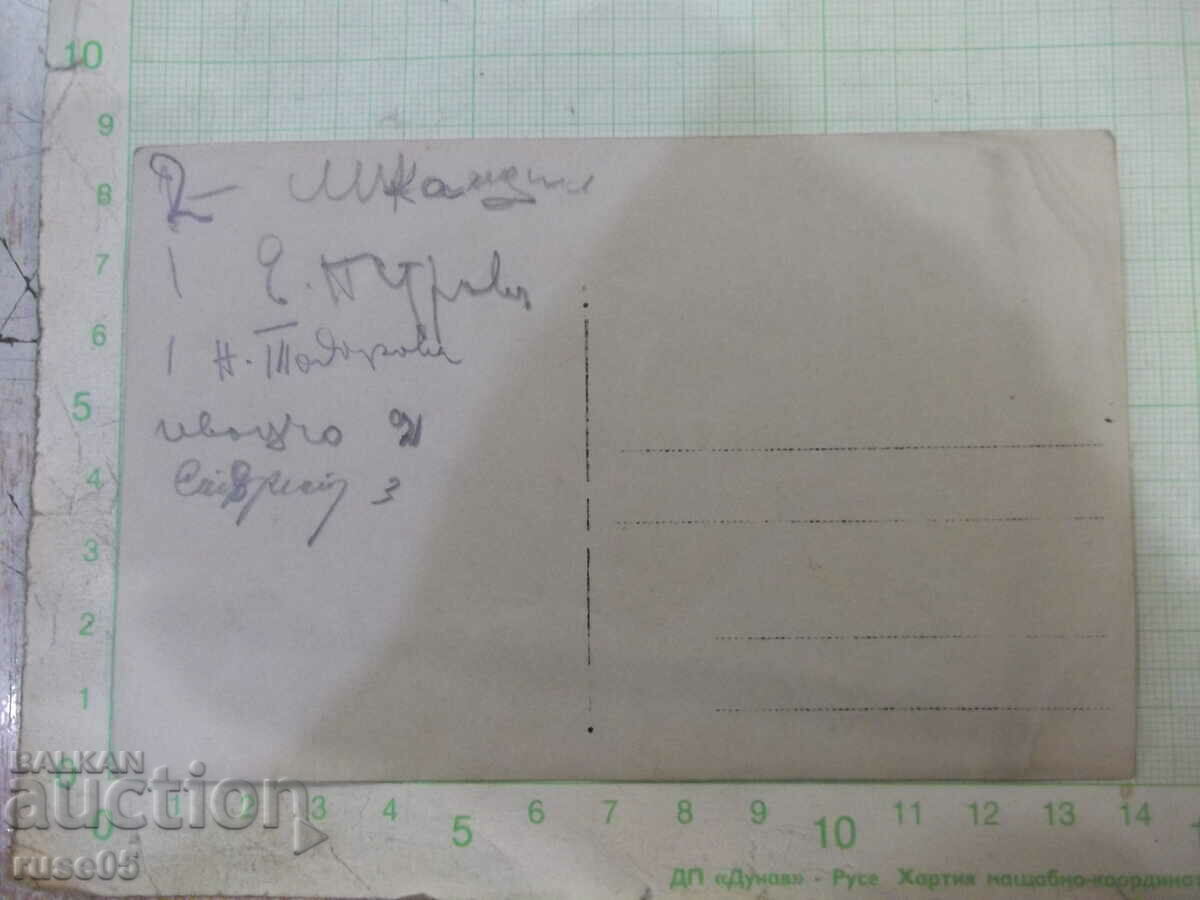 Old photo of a group in front of the trees with price 5.00 BGN | € 2.56 Old photo of a group in front of the trees with price 5.00 BGN | € 2.56