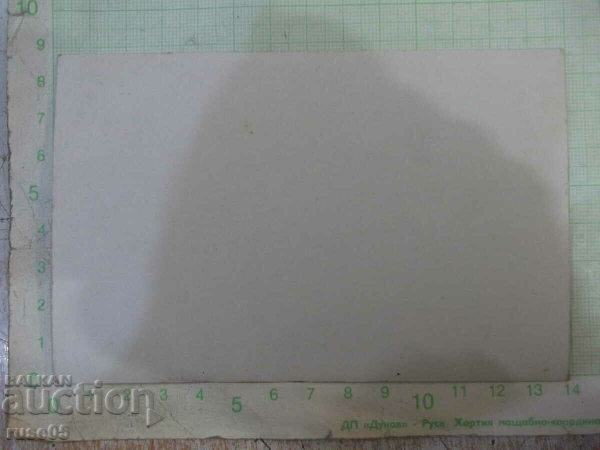 Old photo of a group on the river under the tree with price 5.00 BGN | € 2.56 Old photo of a group on the river under the tree with price 5.00 BGN | € 2.56