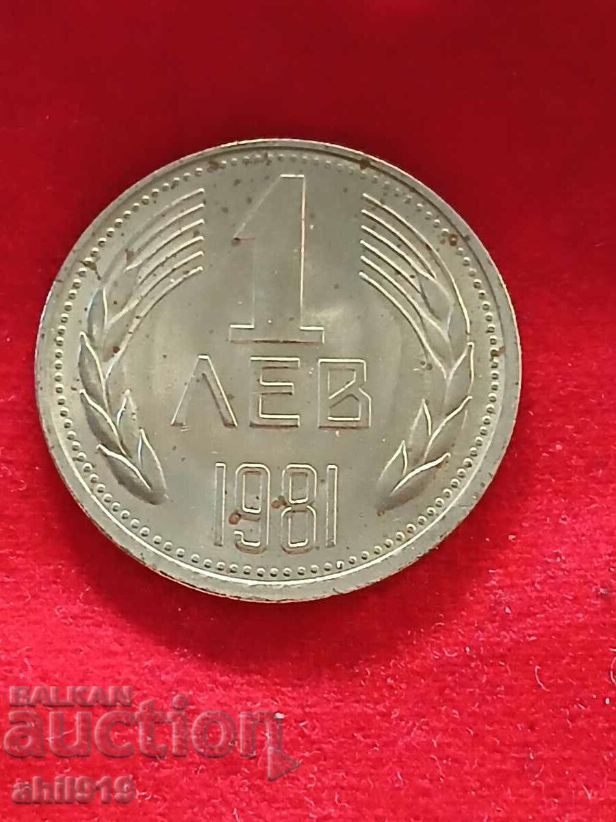 1 lev 1981