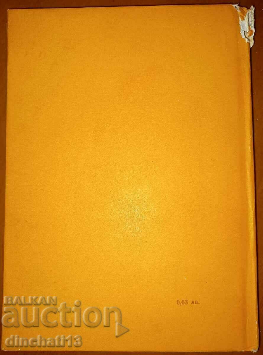 Chestnut color: Evtim Evtimov - 5 Chestnut color: Evtim Evtimov - 5