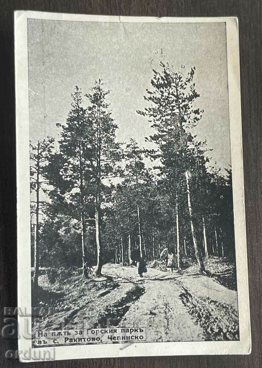 4619 Regatul Bulgariei Satul Rakitovo Parcul forestier Chepinsko