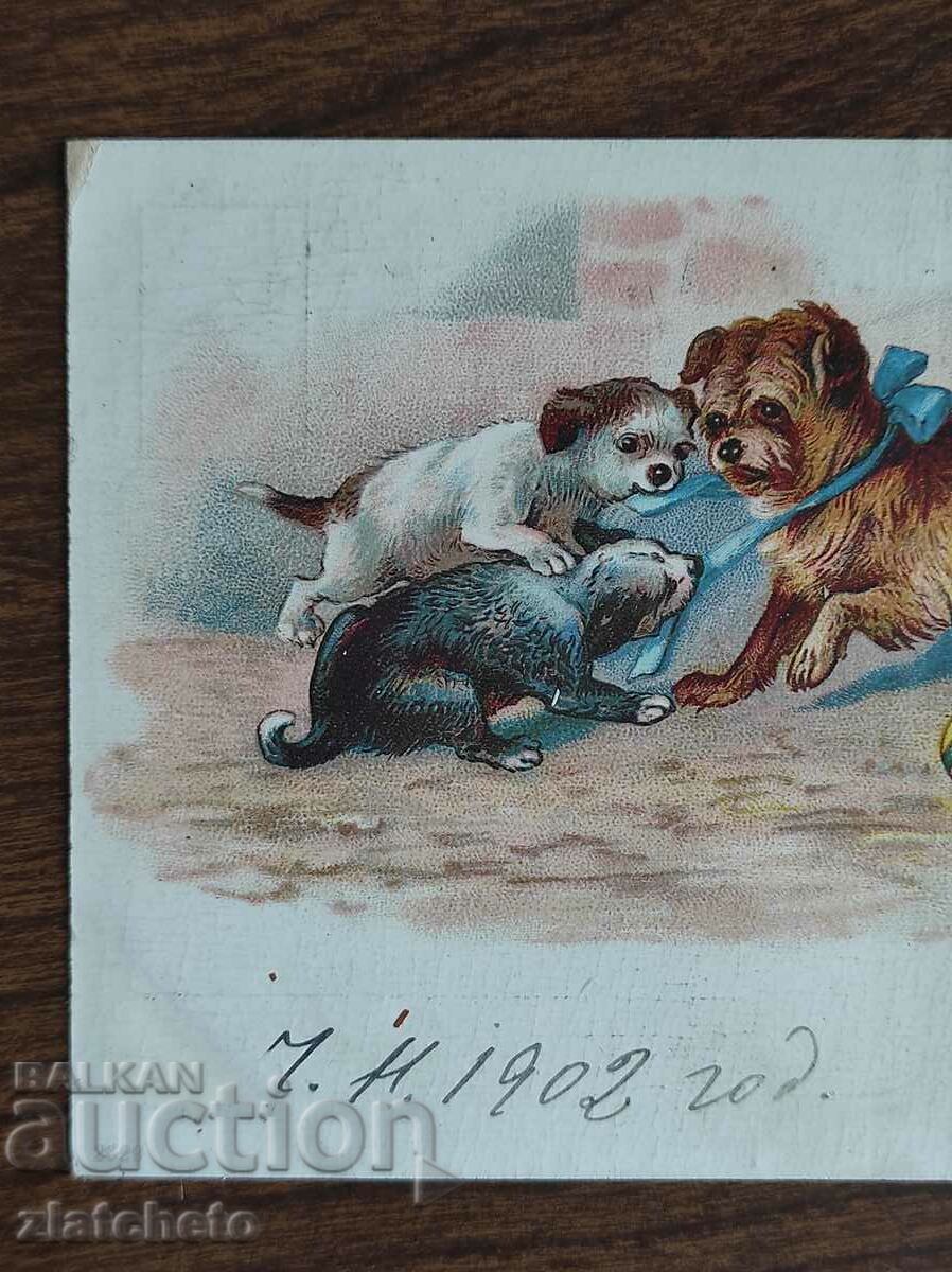 Σπάνια καρτ ποστάλ - με τιμή 20.00 BGN | € 10.23 Σπάνια καρτ ποστάλ - με τιμή 20.00 BGN | € 10.23