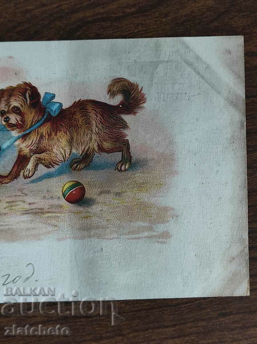 Δημοπρασία Σπάνια καρτ ποστάλ - Δημοπρασία Σπάνια καρτ ποστάλ -