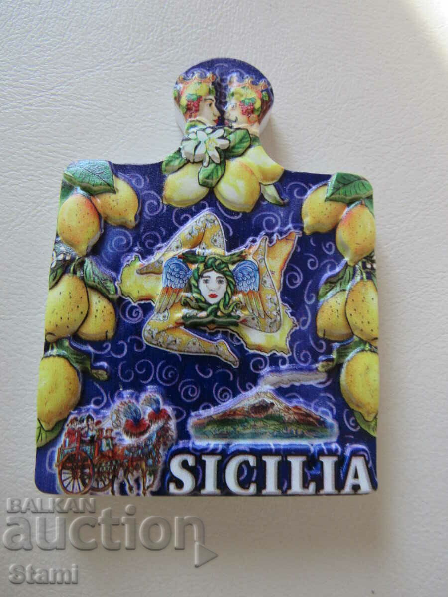 Delivery of Magnet from Sicily, Italy-1 Delivery of Magnet from Sicily, Italy-1