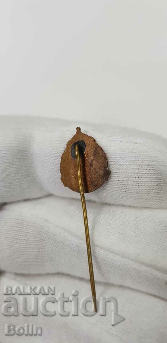 Licitație Insigna Regală, Insigna Crucii Roșii pe care le servesc