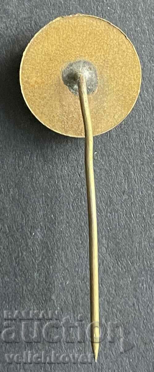 39173 Bulgaria sign logo Bulgarian National Television 80s with price 3.00 BGN | € 1.53 39173 Bulgaria sign logo Bulgarian National Television 80s with price 3.00 BGN | € 1.53