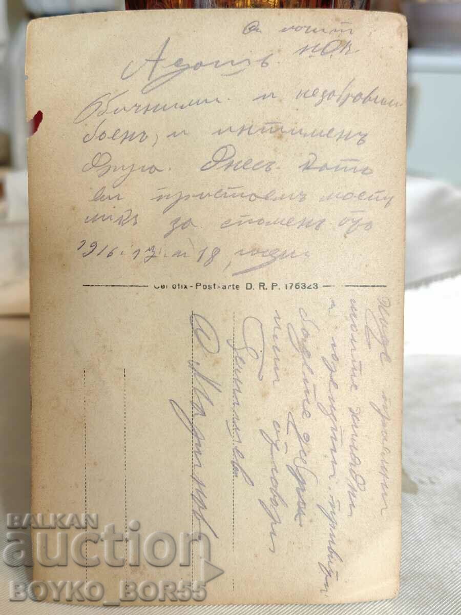 Old Bulgarian Military Photo of the Front During the PSV with price 15.00 BGN | € 7.67 Old Bulgarian Military Photo of the Front During the PSV with price 15.00 BGN | € 7.67