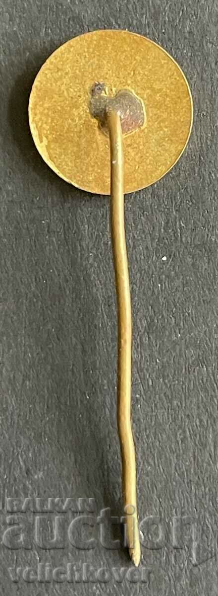 39211 Bulgaria company sign Elektroimpex enamel with price 4.00 BGN | € 2.05 39211 Bulgaria company sign Elektroimpex enamel with price 4.00 BGN | € 2.05