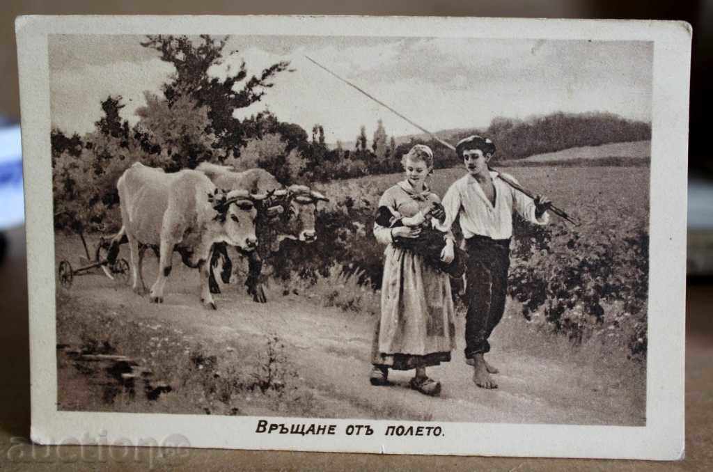 ,RETURN FROM BUFFALO FIELD POST CARD