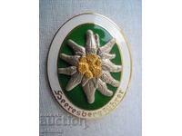 HITLER INSIGNIA EDELWEISS MOUNTAIN BRIGADE MEDAL