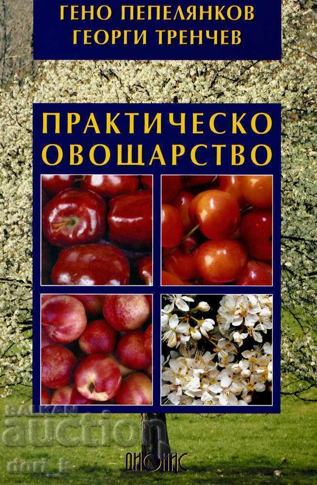 Πρακτική οπωροκαλλιέργεια