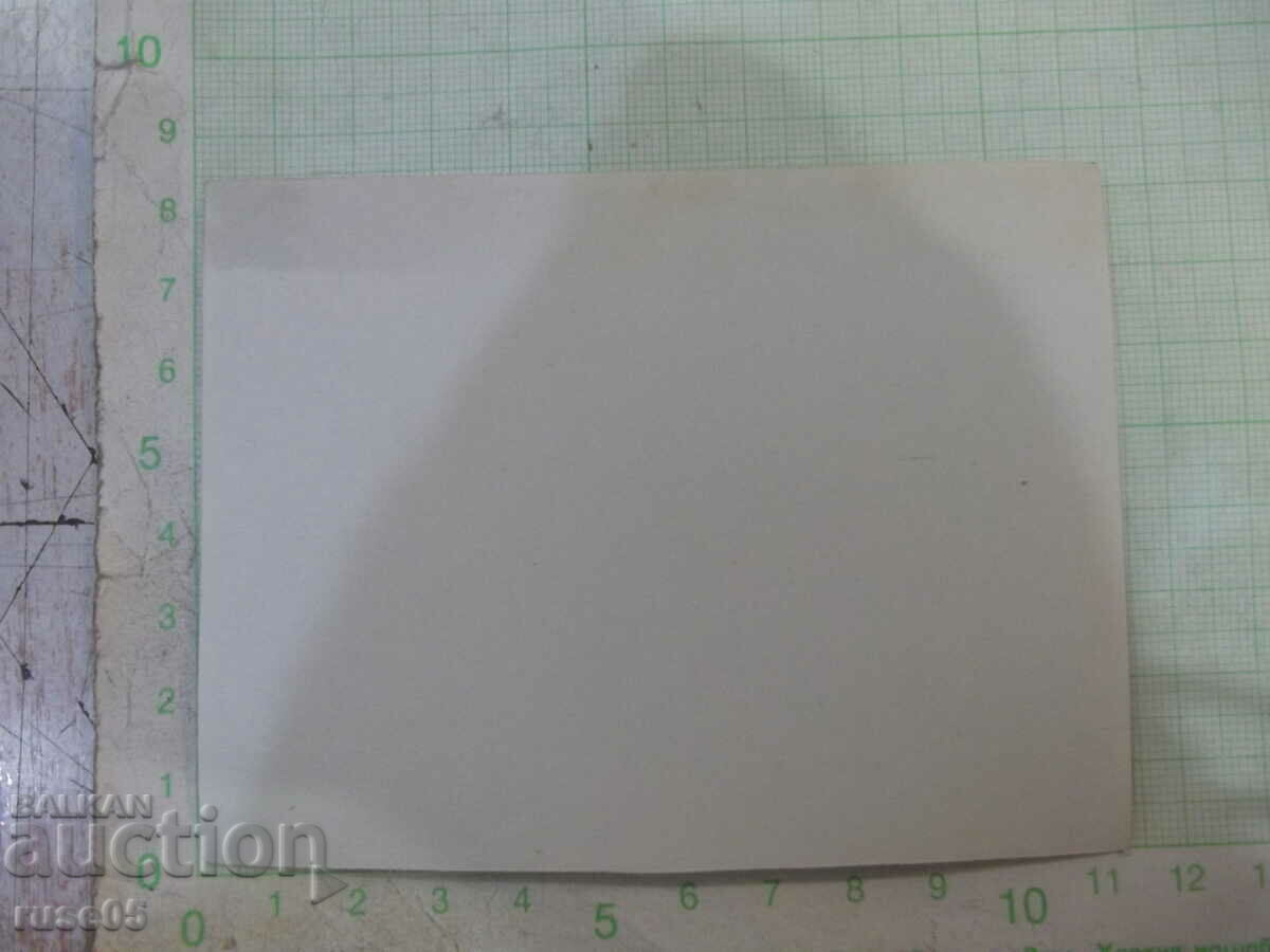 Old photo of Bulgarians on a picnic in America with price 2.00 BGN | € 1.02 Old photo of Bulgarians on a picnic in America with price 2.00 BGN | € 1.02