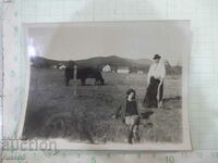 Old photo of a couple in the Arkansas Balkans in America