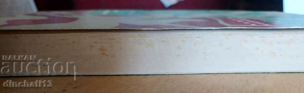 Two capitals - Nikolay Ravich - 6 Two capitals - Nikolay Ravich - 6