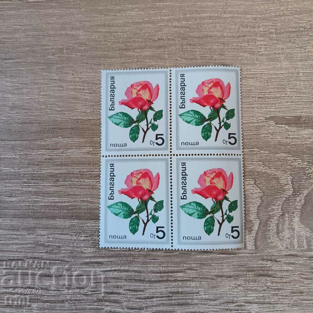 Βουλγαρία 1970 flora roses Square