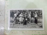 An old photo of five Bulgarians in the orchard in America