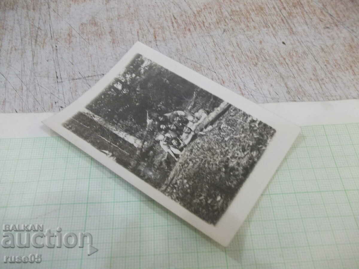 Auction Old photo of a group in the woods in America - 1 Auction Old photo of a group in the woods in America - 1