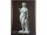 . 100 YEAR OLD UNUSED VENUS POSTCARD