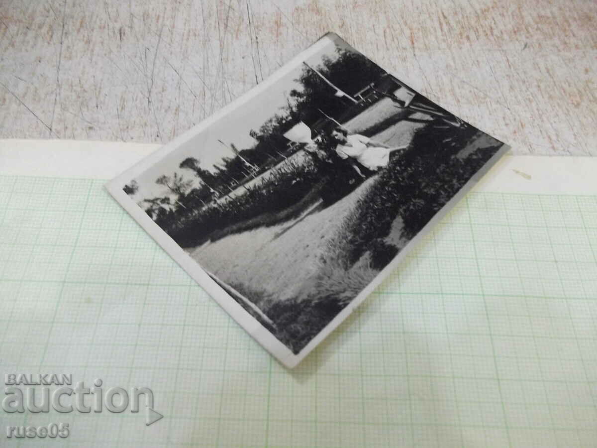 Auction An old photo of a seated woman in a garden path in America Auction An old photo of a seated woman in a garden path in America