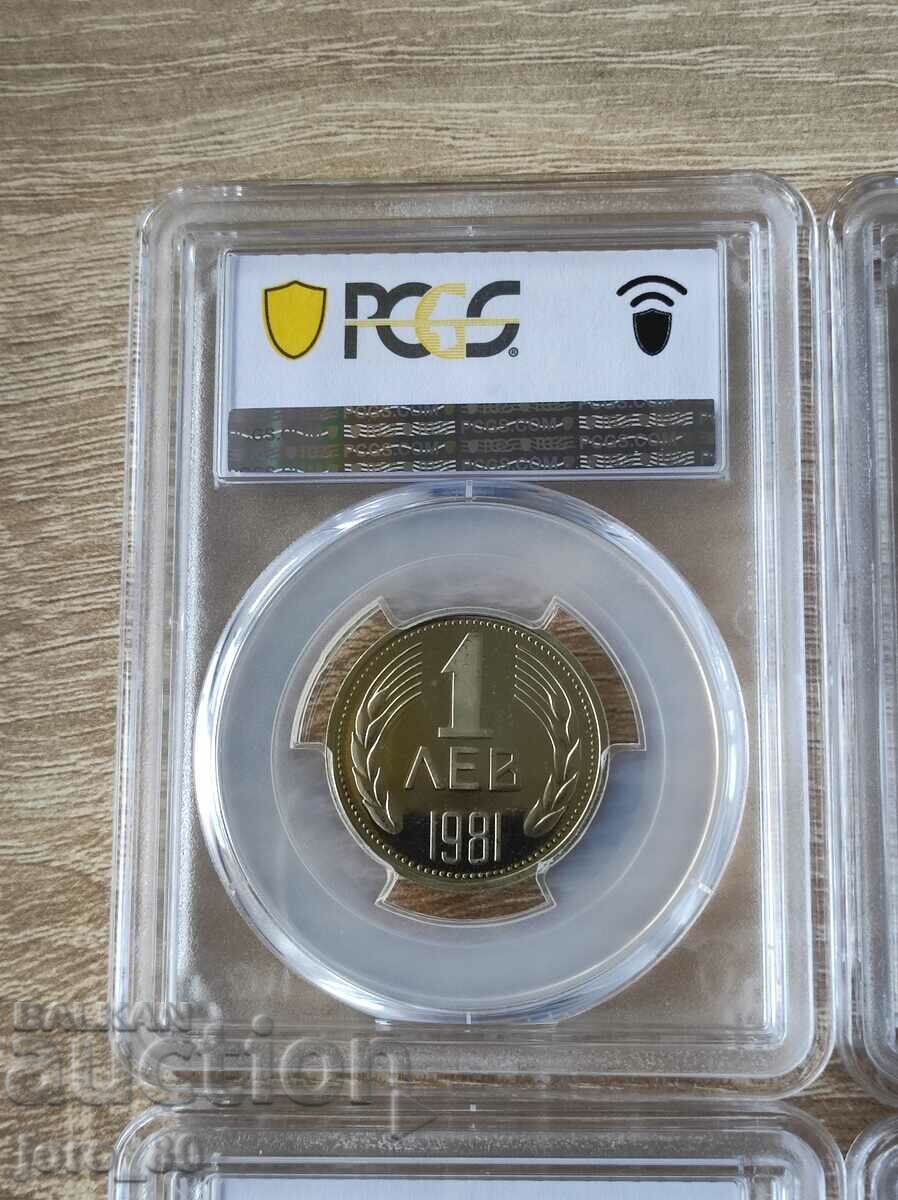 Auction Complete set 1981 Bulgaria - Matt-gloss (proof) Auction Complete set 1981 Bulgaria - Matt-gloss (proof)