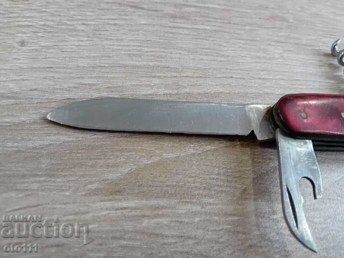 Delivery of LEG - IN, TARNOVO